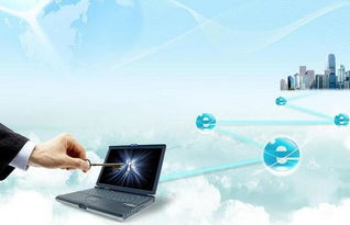 共商濱海新區(qū)跨境電商發(fā)展大計